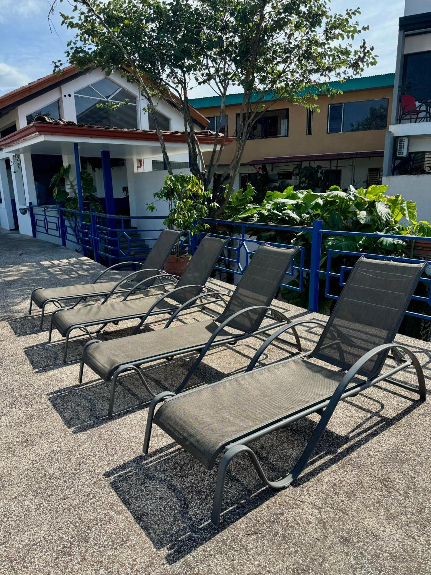 Cacts San José